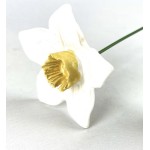 Bunzlau Narcis Wit Overig